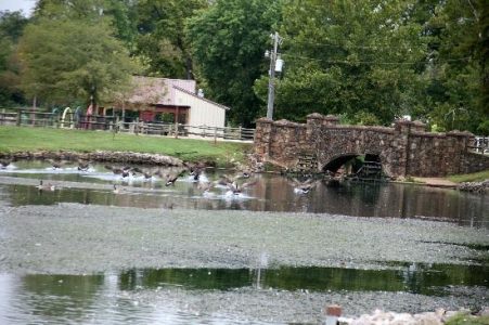 The Return Walk to Tuscumbia and Oka Kapassa Festival Image